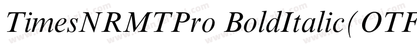 TimesNRMTPro BoldItalic(OTF)字体转换